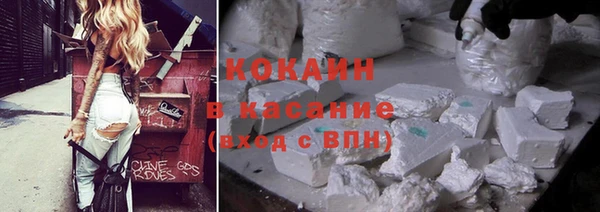 тгк Касимов
