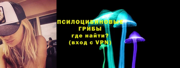 винт Карпинск