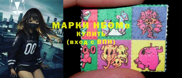 тгк Касимов