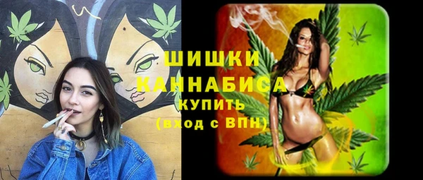 винт Карпинск
