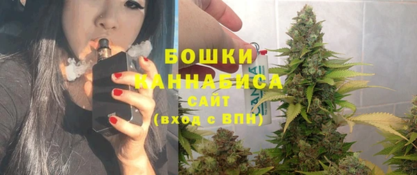 тгк Касимов