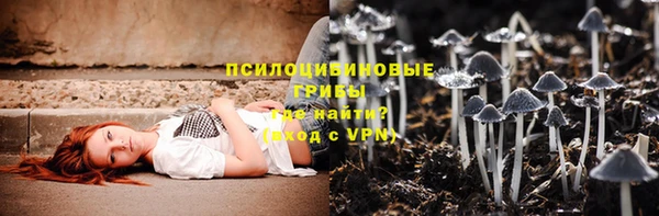 тгк Касимов