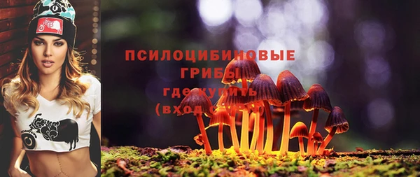 тгк Касимов