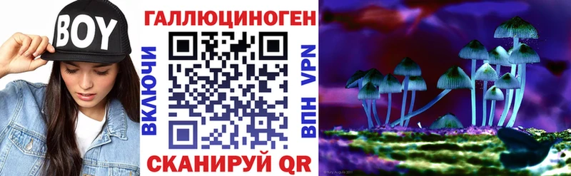 Галлюциногенные грибы GOLDEN TEACHER  Пыталово 